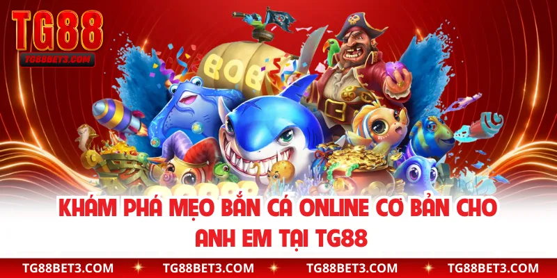 Mẹo quan sát và chọn mục tiêu cá thông minh